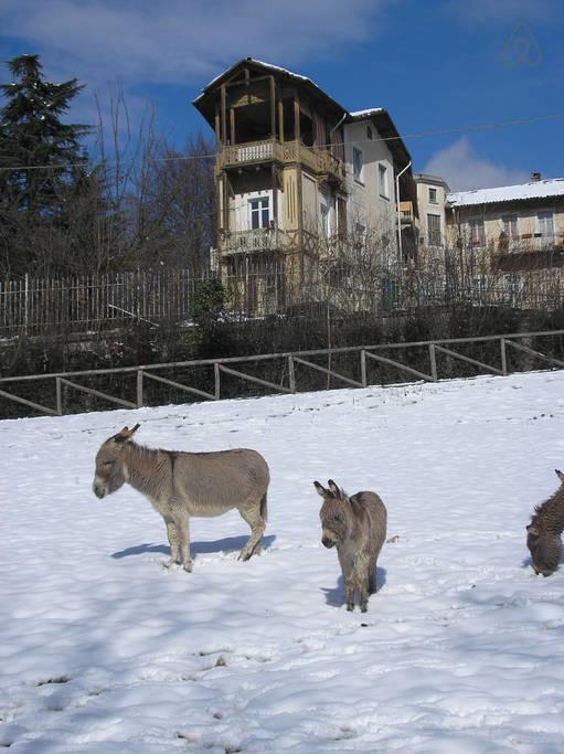 Del Nobile Apartment Torino Dış mekan fotoğraf